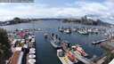 ./images/victoria/wharf/20250620/wharf20250620_144011M.jpg