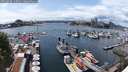 ./images/victoria/wharf/20250620/wharf20250620_145011M.jpg