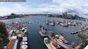 ./images/victoria/wharf/20250620/wharf20250620_145510M.jpg