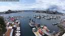 ./images/victoria/wharf/20250620/wharf20250620_150011M.jpg