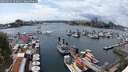 ./images/victoria/wharf/20250620/wharf20250620_153011M.jpg