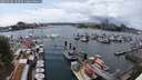 ./images/victoria/wharf/20250620/wharf20250620_153509M.jpg