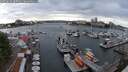 ./images/victoria/wharf/20250620/wharf20250620_200508M.jpg