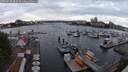 ./images/victoria/wharf/20250620/wharf20250620_205009M.jpg