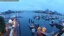 ./images/victoria/wharf/20250621/wharf20250621_051009M.jpg