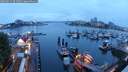 ./images/victoria/wharf/20250621/wharf20250621_051509M.jpg