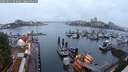 ./images/victoria/wharf/20250621/wharf20250621_053009M.jpg