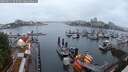 ./images/victoria/wharf/20250621/wharf20250621_053508M.jpg