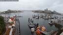 ./images/victoria/wharf/20250621/wharf20250621_054009M.jpg