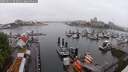 ./images/victoria/wharf/20250621/wharf20250621_063010M.jpg