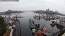 ./images/victoria/wharf/20250621/wharf20250621_070510M.jpg