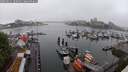 ./images/victoria/wharf/20250621/wharf20250621_100010M.jpg