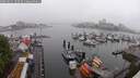 ./images/victoria/wharf/20250621/wharf20250621_103510M.jpg