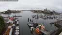./images/victoria/wharf/20250621/wharf20250621_124511M.jpg