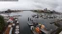 ./images/victoria/wharf/20250621/wharf20250621_131010M.jpg