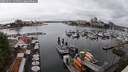 ./images/victoria/wharf/20250621/wharf20250621_131511M.jpg