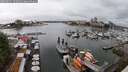 ./images/victoria/wharf/20250621/wharf20250621_132011M.jpg