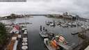 ./images/victoria/wharf/20250621/wharf20250621_132510M.jpg