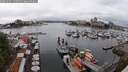 ./images/victoria/wharf/20250621/wharf20250621_135011M.jpg