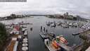 ./images/victoria/wharf/20250621/wharf20250621_141009M.jpg