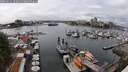 ./images/victoria/wharf/20250621/wharf20250621_142011M.jpg