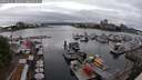 ./images/victoria/wharf/20250621/wharf20250621_180510M.jpg