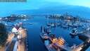 ./images/victoria/wharf/20250622/wharf20250622_044509M.jpg