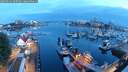 ./images/victoria/wharf/20250622/wharf20250622_045009M.jpg