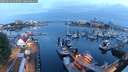 ./images/victoria/wharf/20250622/wharf20250622_045508M.jpg