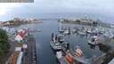 ./images/victoria/wharf/20250622/wharf20250622_055507M.jpg