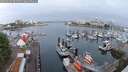 ./images/victoria/wharf/20250622/wharf20250622_061508M.jpg