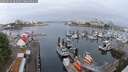 ./images/victoria/wharf/20250622/wharf20250622_062009M.jpg
