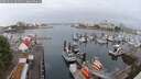 ./images/victoria/wharf/20250622/wharf20250622_062510M.jpg