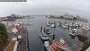 ./images/victoria/wharf/20250622/wharf20250622_063011M.jpg