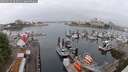 ./images/victoria/wharf/20250622/wharf20250622_063510M.jpg