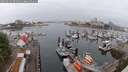 ./images/victoria/wharf/20250622/wharf20250622_064011M.jpg