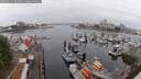 ./images/victoria/wharf/20250622/wharf20250622_065011M.jpg