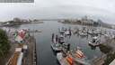 ./images/victoria/wharf/20250622/wharf20250622_065509M.jpg