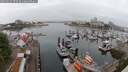 ./images/victoria/wharf/20250622/wharf20250622_070509M.jpg