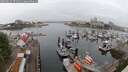 ./images/victoria/wharf/20250622/wharf20250622_071010M.jpg
