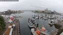 ./images/victoria/wharf/20250622/wharf20250622_071509M.jpg