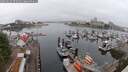 ./images/victoria/wharf/20250622/wharf20250622_072011M.jpg