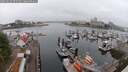 ./images/victoria/wharf/20250622/wharf20250622_072510M.jpg