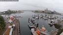 ./images/victoria/wharf/20250622/wharf20250622_073009M.jpg