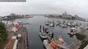 ./images/victoria/wharf/20250622/wharf20250622_073509M.jpg