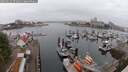 ./images/victoria/wharf/20250622/wharf20250622_074011M.jpg