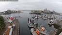 ./images/victoria/wharf/20250622/wharf20250622_080509M.jpg