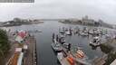 ./images/victoria/wharf/20250622/wharf20250622_081011M.jpg