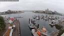 ./images/victoria/wharf/20250622/wharf20250622_082011M.jpg