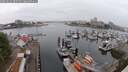 ./images/victoria/wharf/20250622/wharf20250622_082510M.jpg